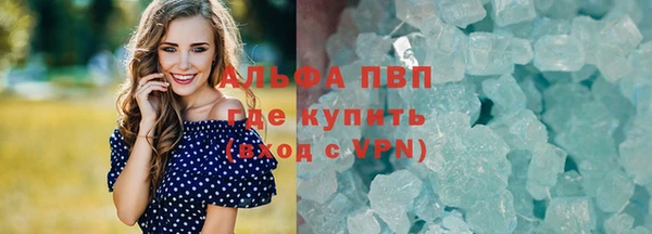 индика Куйбышев