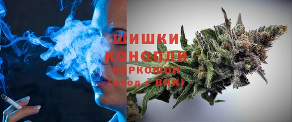 индика Куйбышев