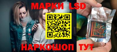 гашик Кандалакша