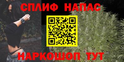 гашик Кандалакша