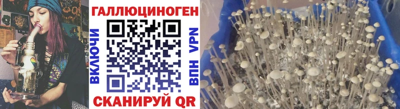 даркнет как зайти  Майский  Псилоцибиновые грибы прущие грибы 