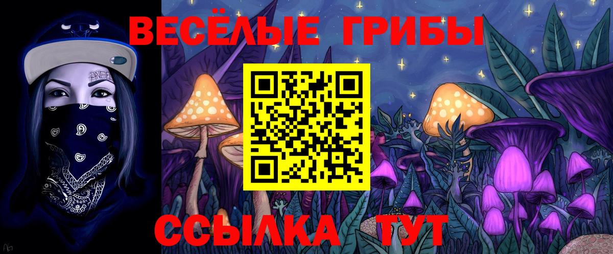 Псилоцибиновые грибы Psilocybe  Вход с VPN  Майский  Псилоцибиновые грибы Psilocybe 