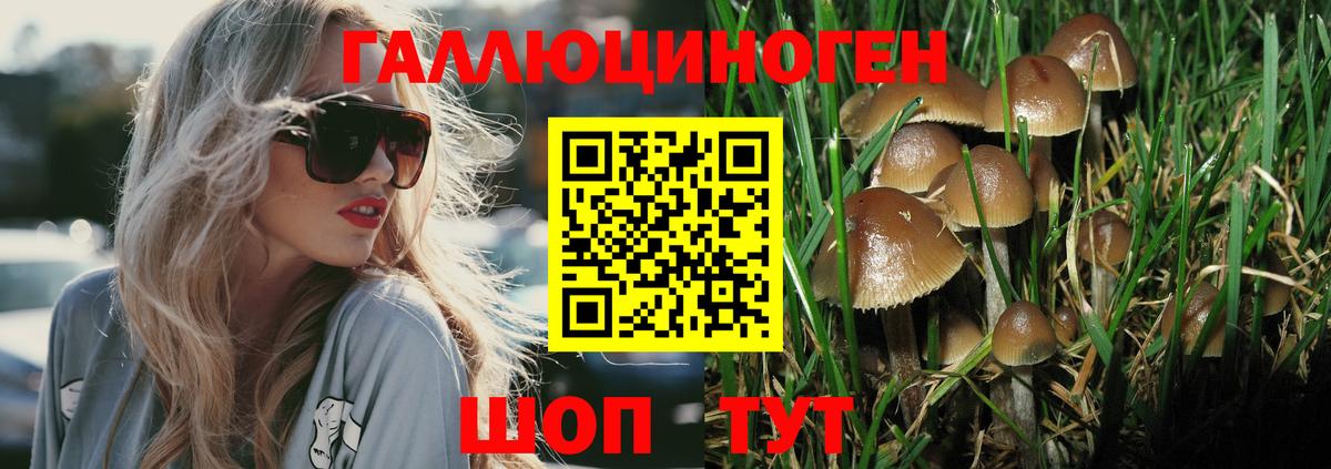 Псилоцибиновые грибы GOLDEN TEACHER Майский